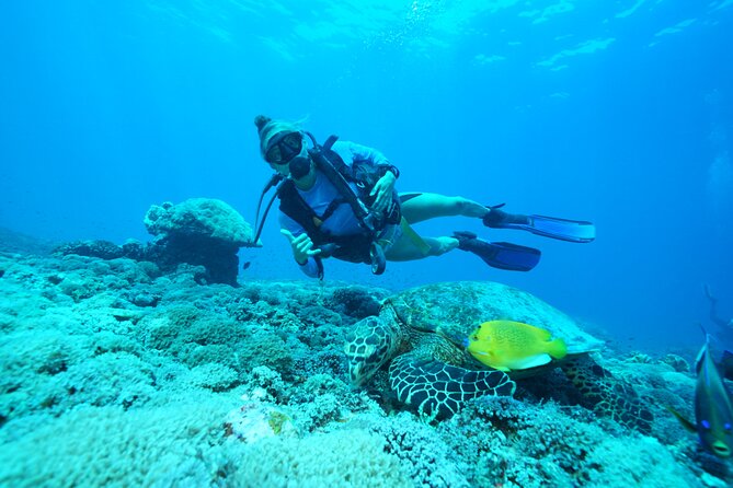 Day Trip Discover Scuba dive in Nusa Penida 2 dives (From Sanur - South Bali) - Key highlights to know before you go