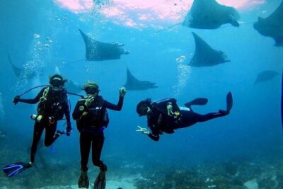 Day Trip Discover Scuba dive in Nusa Penida 2 dives (From Sanur - South Bali) - First Training: Pool Practice or Going Straight to the Water