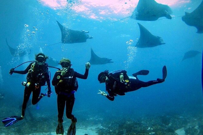 Day Trip Discover Scuba dive in Nusa Penida 2 dives (From Sanur - South Bali) - First Training: Pool Practice or Going Straight to the Water