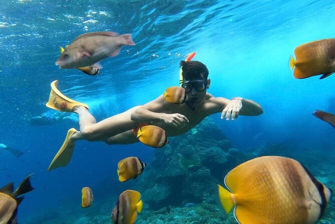 Day Trip: Nusa Penida Snorkling - Getting From Seminyak: Pickup, Air-Conditioning, and the 8-Hour Pace