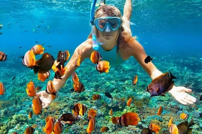 Day Trip: Nusa Penida Snorkling - Snorkeling at Manta Point, Crystal Bay, and Gamat Bay (3 Hours Total)
