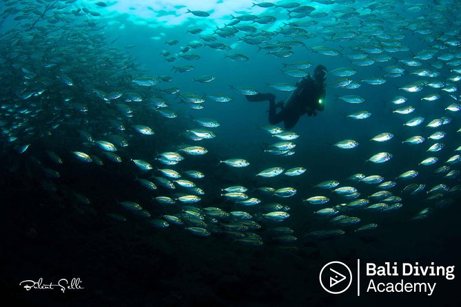 Day Trip Snorkeling in Tulamben - Explore Liberty Wreck (pick up in South Bali) - Two Shore Sessions: How the Day Flows in Real Time