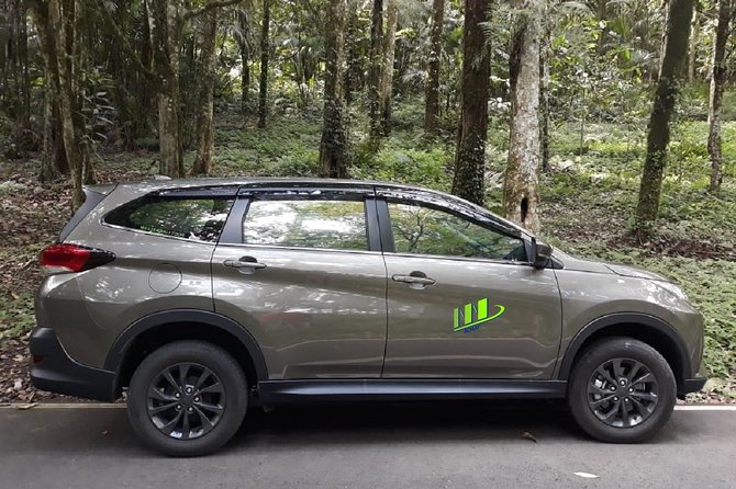 Departure Transfer from Ubud, Canggu, Uluwatu to Bali Airport - Where You’re Picked Up: Ubud, Canggu, Tanah Lot, or Uluwatu