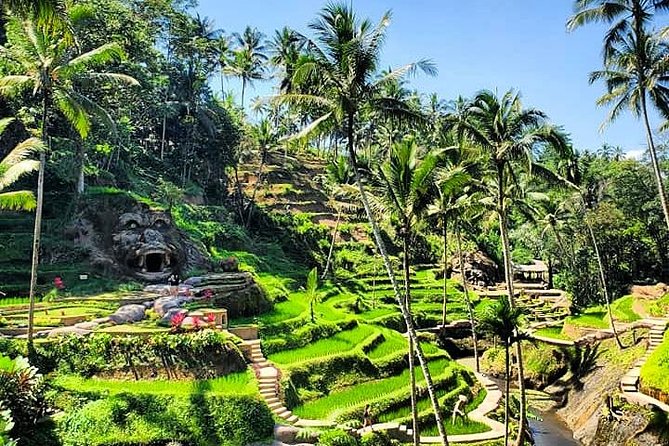 Design Your Own Bali Tour - Pickup, drop-off, and airport timing: your day starts where you need it