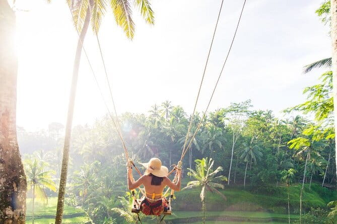 Discover Bali in 3 Days of Scenic and Cultural Delights - How a 3-day Bali plan works at $280: private car + paid entries