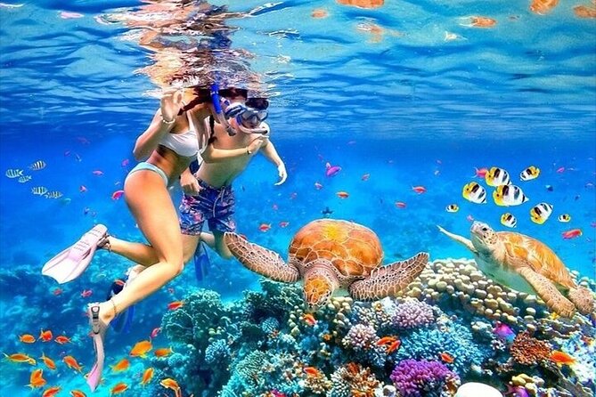 Discover East Bali: Snorkeling Blue lagoon & Instagramable Spots - Key points to know before you go