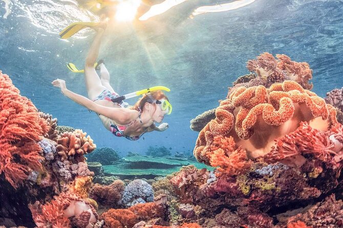 Discover East Bali: Snorkeling Blue lagoon & Instagramable Spots - The East Bali route that hits photos and water in one day