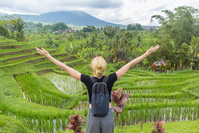 Discover Hidden Waterfall, Unesco Rice Terraces and Mountain Temple - Stop 1: Leke Leke Waterfall trek with jungle paths and bamboo bridges