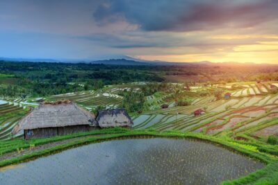 Discover Hidden Waterfall, Unesco Rice Terraces and Mountain Temple - Stop 2: Jatiluwih UNESCO rice terraces and the irrigation you can actually see