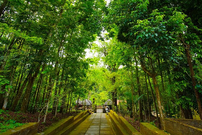 Discover Hidden Waterfall, Unesco Rice Terraces and Mountain Temple - Timing in Ubud: why 8:00 am is a smart choice