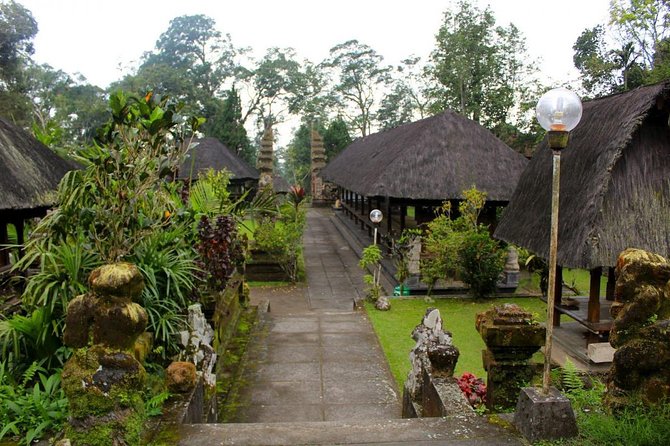 Discover Hidden Waterfall, Unesco Rice Terraces and Mountain Temple - Who should book this private Ubud day tour (and who might not)