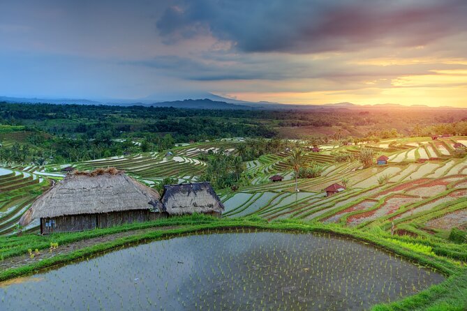 Discover Hidden Waterfall, Unesco Rice Terraces and Mountain Temple - Stop 2: Jatiluwih UNESCO rice terraces and the irrigation you can actually see