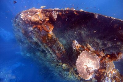 Discover Scuba Diving - The 5-hour flow: tea, rules, pool basics, then one ocean outing