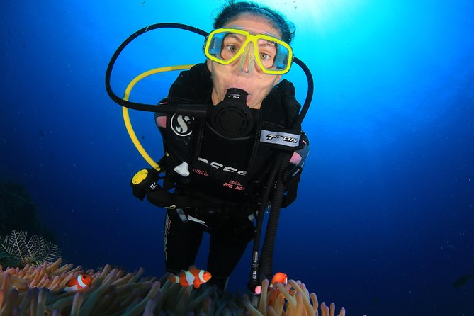 Discover Scuba Diving - What the day feels like underwater (without the hype)