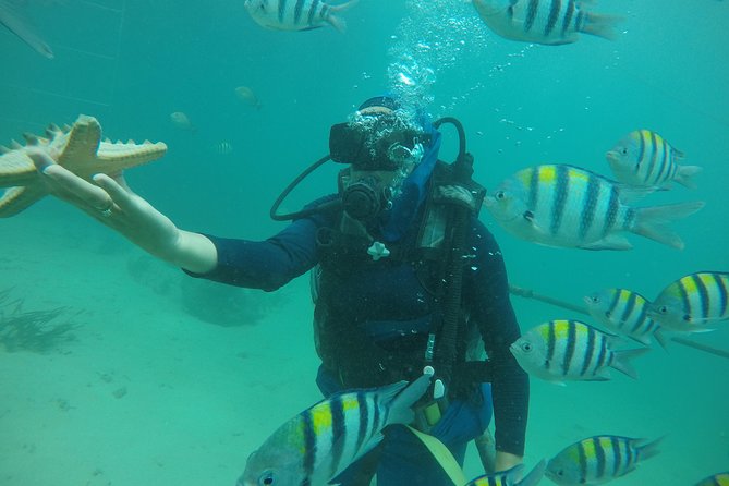 Discover Scuba Diving ( beginners) Combined With Jet Ski - The scuba basics: a short, guided 20–30 minute underwater session