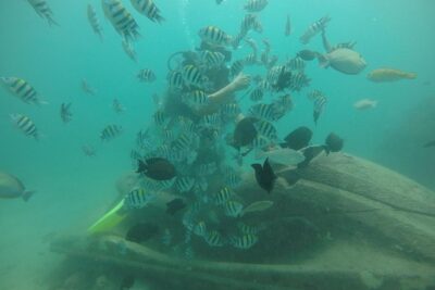 Discover Scuba Diving ( beginners) Combined With Jet Ski - What happens at Tanjung Benoa Water Sports (and why it works)