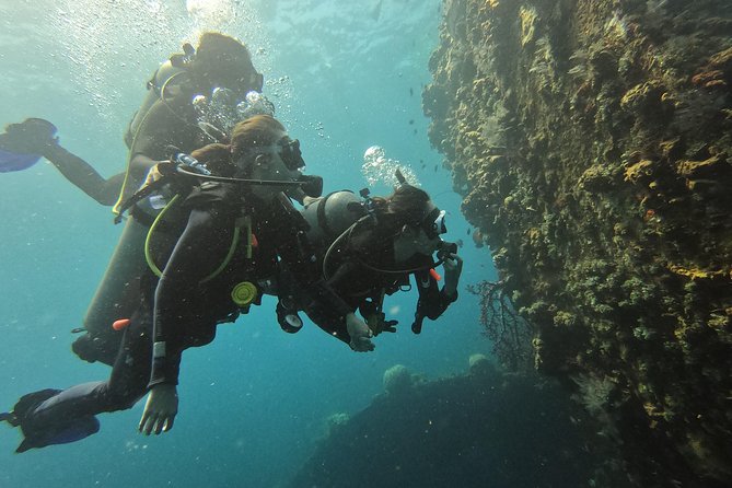Discover Scuba Diving Tulamben Bali For Non-Certified Divers - Who Should Book This Program (and Who Might Not Love It)?