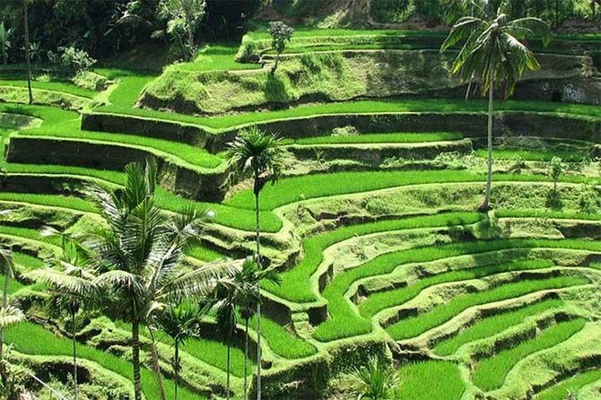 Discover the best waterfalls in Ubud and rice terraces tour - Kanto Lampo Waterfall: A Striking Shape With a River Under the Falls