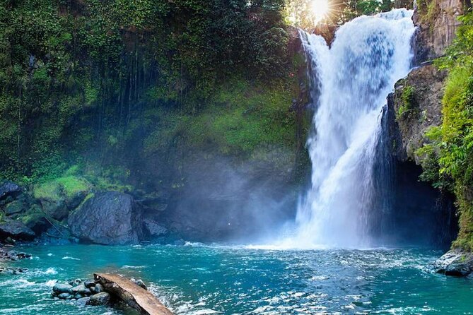 Discover Ubud: Exotism Ubud and Optional Meet the Bali Shaman - Pickup, Timing, and How the 10-Hour Day Fits Together