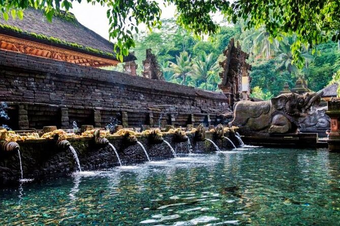 Discover Ubud: Exotism Ubud and Optional Meet the Bali Shaman - Monkey Forest and the Bucket List Coffee Plantation