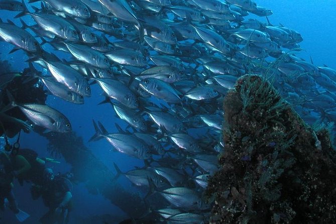 Dive at Tulamben Bali USS Liberty Ship Wreck - USS Liberty: why this wreck is such a big deal
