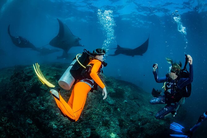 Diving in Nusa Penida - Key Points You Should Know