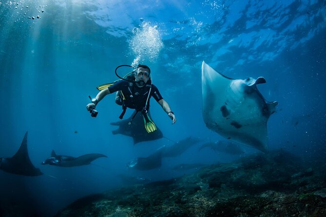 Diving in Nusa Penida - Where Nusa Penida Fits (and Why Mantas Are the Big Deal)