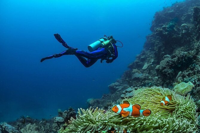 Diving in Nusa Penida - Weather Reality: When the Sea Says No