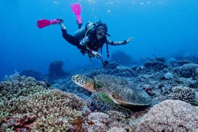 Diving with Manta Ray at Nusa Penida - Price check: what $120 really covers (and what it doesn’t)