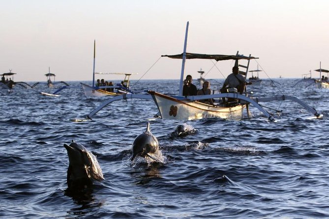 Dolphin Tour and Sunrise Watching in Lovina Beach - All Inclusive - Lovina Sunrise on a Glass-Bottom Boat: What You’re Really Chasing