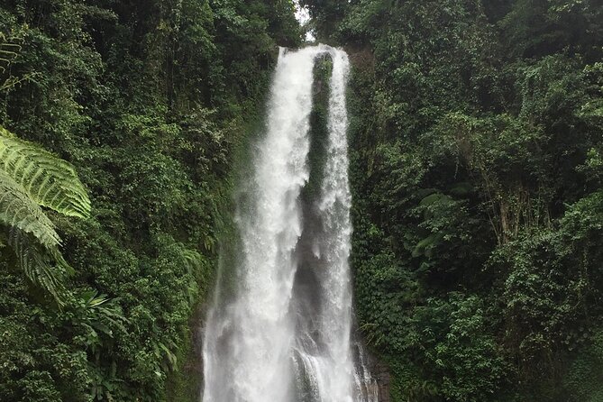 Dolphin Tour and Sunrise Watching in Lovina Beach - All Inclusive - Wanagiri Hidden Hills Swing Above Lake Buyan: The Photo Stop That Pays Off