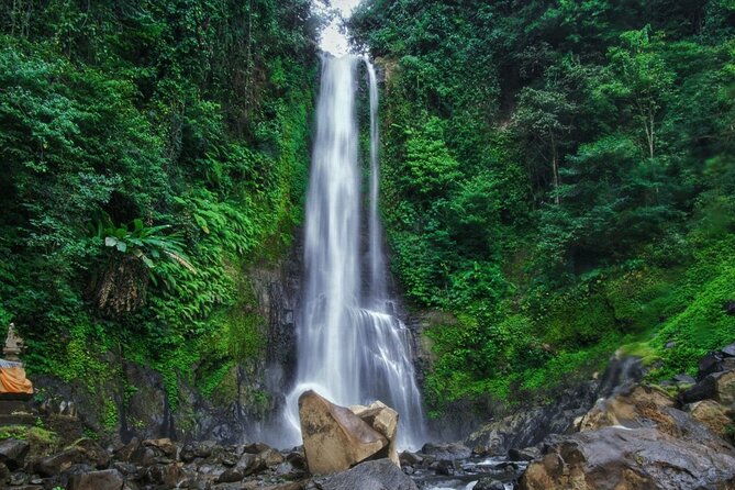 Dolphin Tour and Sunrise Watching in Lovina Beach - All Inclusive - Optional Upgrade Stops: Waterfall and Temple When You Want More