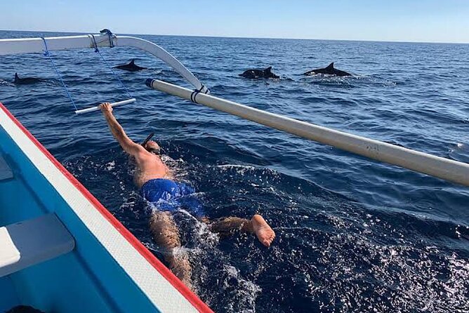 Dolphin Watching Tour, Swimming with Dolphins and Snorkeling - Price and value: why $21.39 can still feel like a steal