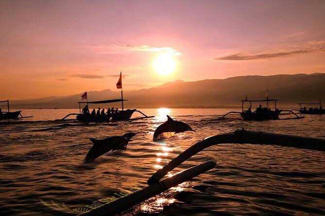 Dolphin Watching Tour, Swimming with Dolphins and Snorkeling - On the boat: dolphin hunting, lots of boats, and captain communication