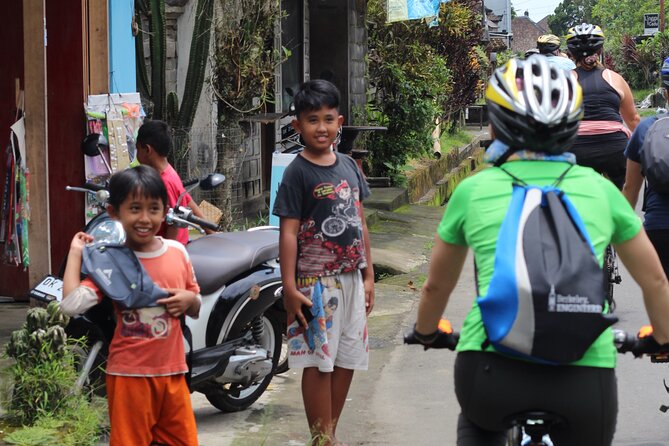 Downhill Cycling Ubud with Volcano, Rice Terrace and Educational - From Ubud pickup to Kintamani Volcano views: how the day flows
