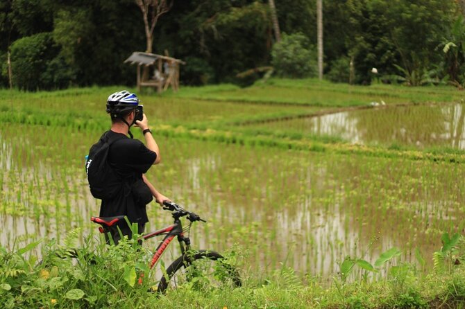 Downhill Cycling Ubud with Volcano, Rice Terrace and Educational - Coffee and tea tasting: more than a quick sample