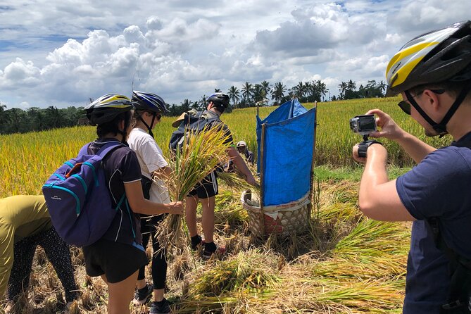 Downhill Cycling Ubud with Volcano, Rice Terrace and Educational - Getting to the top: gear check, guidance, and the first big payoff