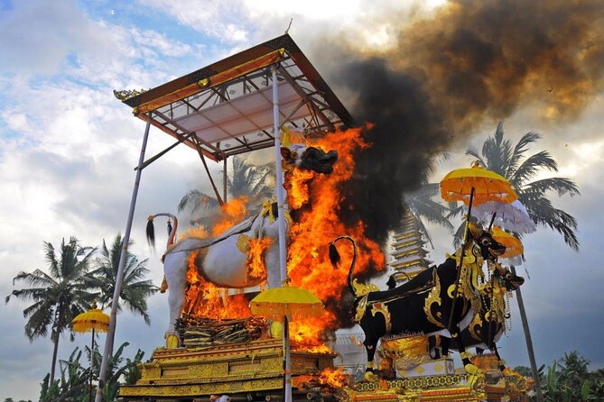 Downhill Cycling Ubud with Volcano, Rice Terrace and Educational - Educational stops: Balinese daily life, rice fields, and family compounds