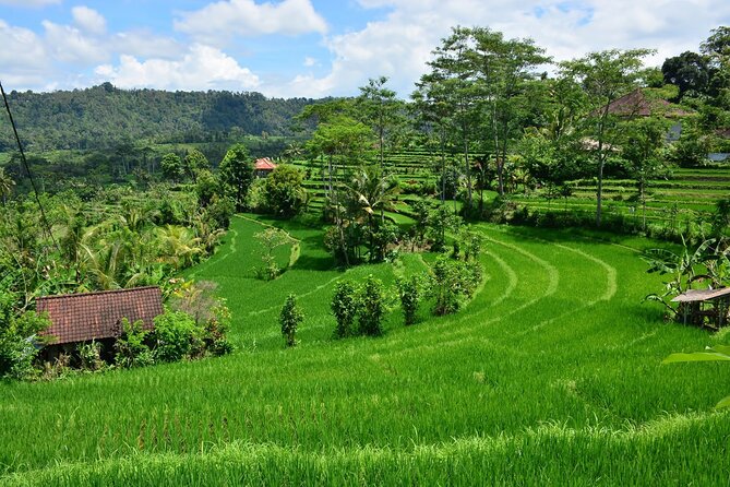East Bali Tour: Gate of Heaven, Water Palace, Sleeping Gajah - A dam stop and waterfall curtain views: variety on a long route
