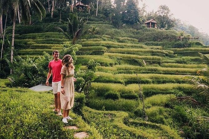East of Bali Tour with Lempuyang Temple, Waterfall, Tirta gangga - Should You Book This East Bali Tour?