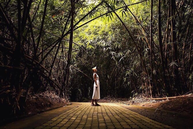 Eastern Bali and Besakih Temple Tour - Bamboo forest near Penglipuran: 7 hectares of only bamboo
