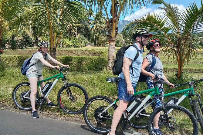 Electric bicycle tour in Jatiluwih UNESCO site - Key Things I’d Plan For