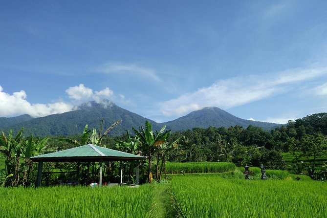 Electric bicycle tour in Jatiluwih UNESCO site - Price and Value: Is $75 Fair for This Setup?