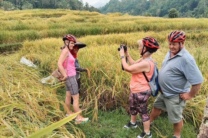 Electric bicycle tour in Jatiluwih UNESCO site - From Batukaru Temple: How the Tour Gets You Moving