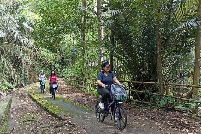Electric bicycle tour in quaint South Ubud - Key highlights worth your attention