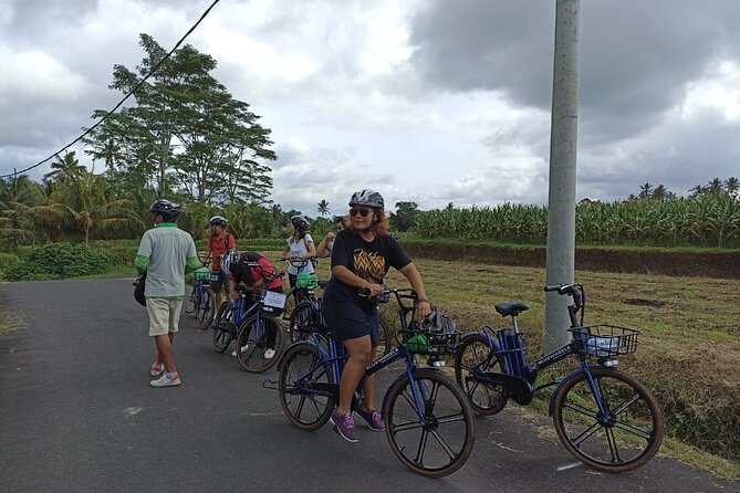 Electric bicycle tour in quaint South Ubud - Why an e-bike in south Ubud feels like good value