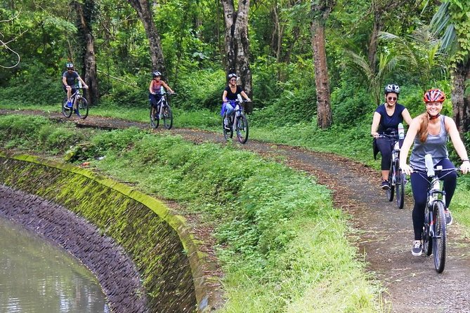 Electric bicycle tour in quaint South Ubud - Rice terraces and Subak: what you’ll actually look for