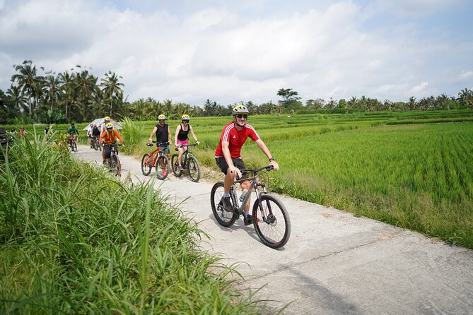 Electric Bike and Swing Package - Key highlights you’ll feel during the day