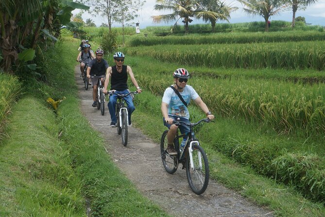 Electric Bike and Swing Package - Kintamani Start: Riding Begins in Abuan