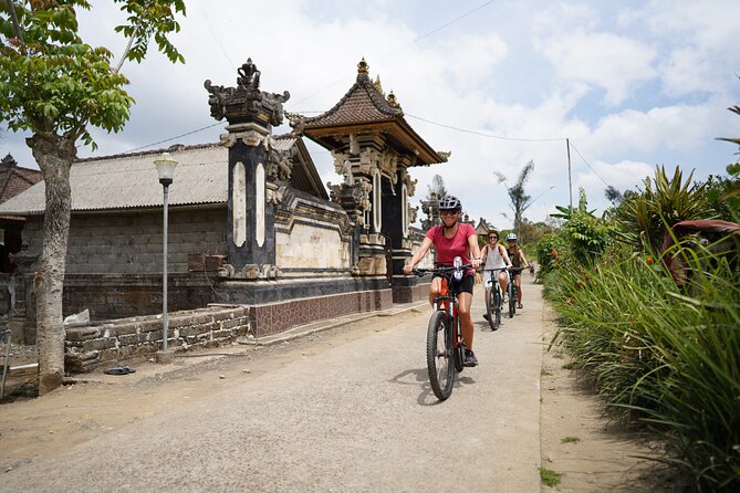 Electric Bike and Swing Package - Price and What Makes It Good Value at $41